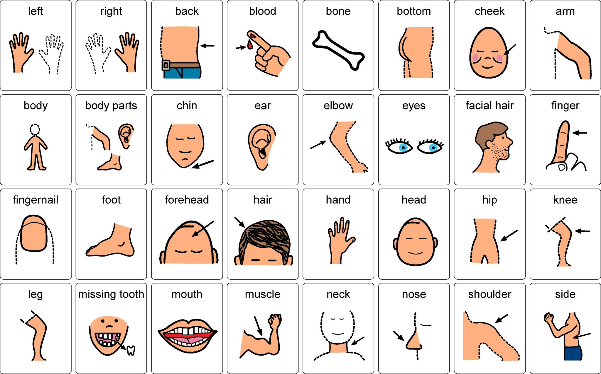 Body Parts Not Only For Young Learners Or Elementary Students