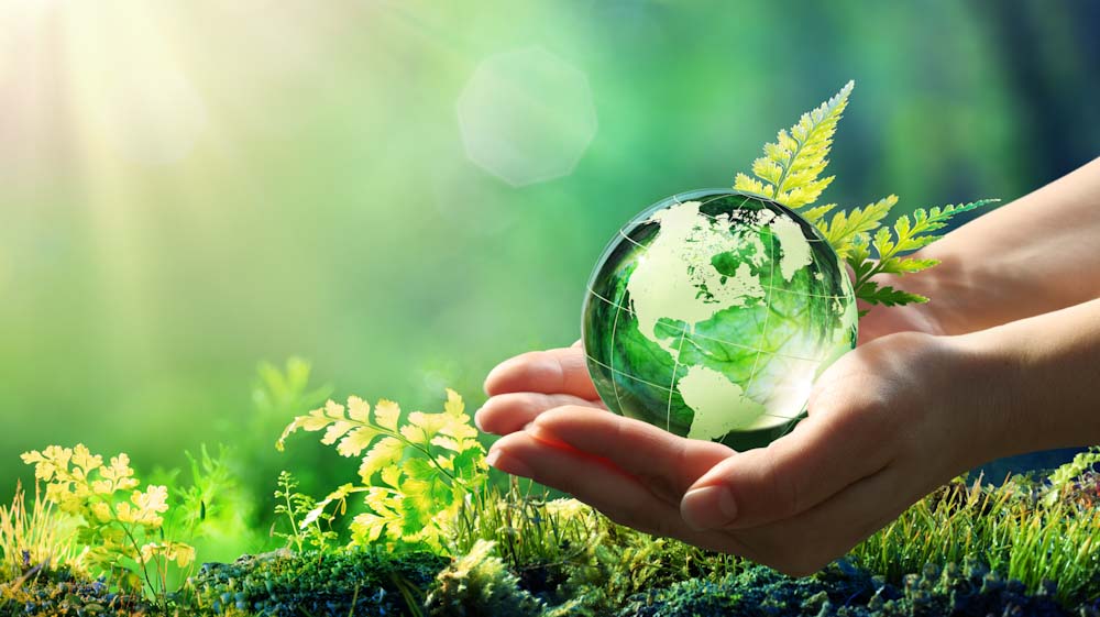 ESL vocabulary the environment